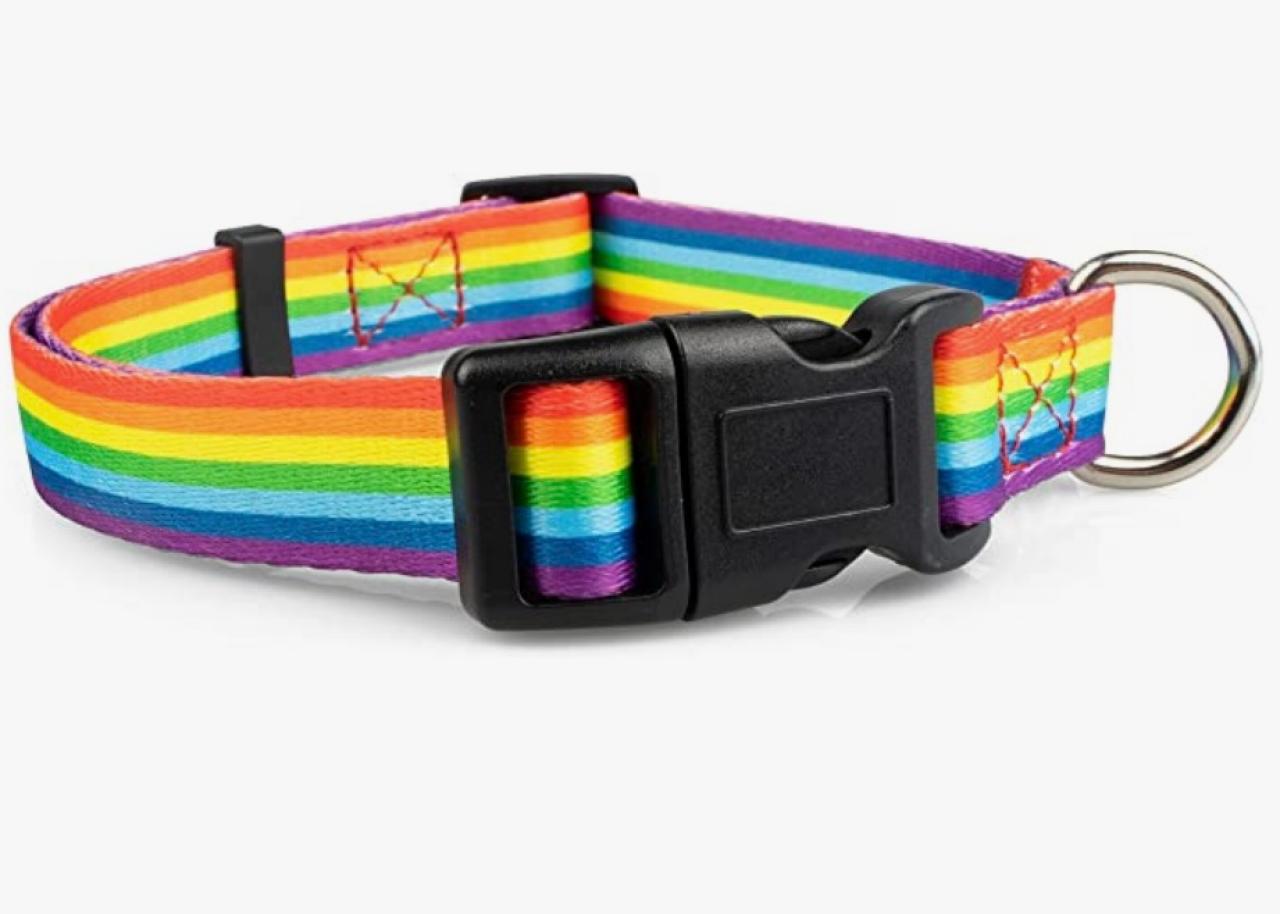 Dog pride clearance gear